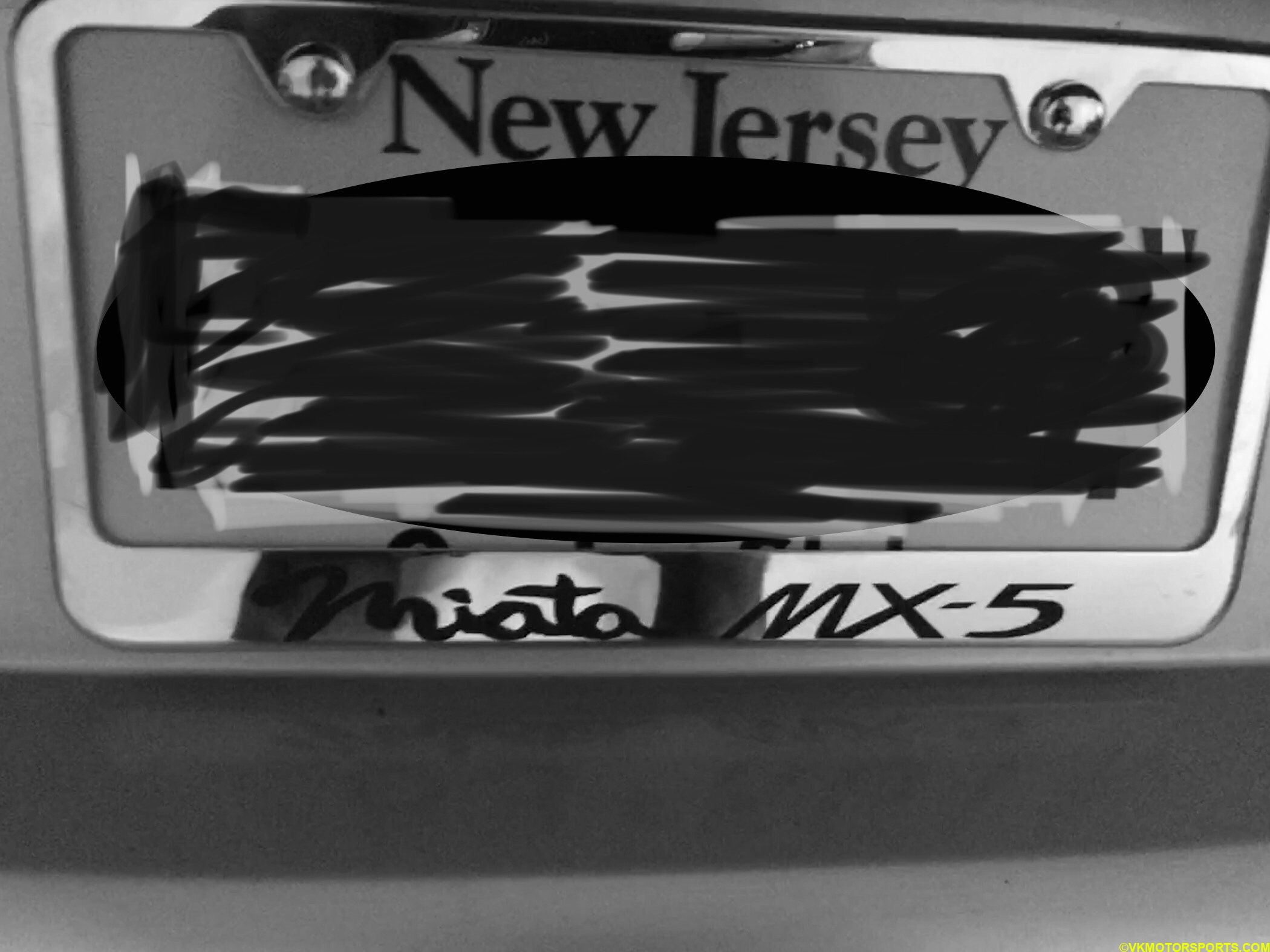 Final look of the rear license plate